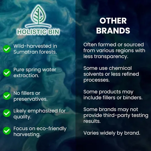 Holistic Bin Extracto de polvo de Tongkat Ali – Longjack premium cosechado en los bosques de Sumatra – A base de hierbas – Sin rellenos ni
