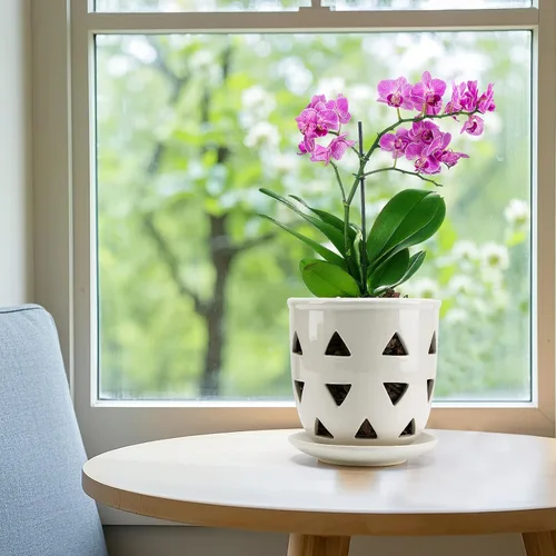 Vista 4 de Aulock Maceta de orquídea de cerámica de 6 pulgadas con agujeros de drenaje, maceta decorativa, excelente flujo de aire para raíces saludables