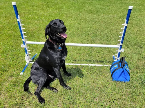 Vista 4 de ActiveDogs Agility - Bolsa de arena grande de baja gravedad, capacidad de bolsa de 20 #, alforja no restrictiva para estabilizar el túnel