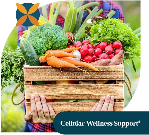 Vista 6 de Pattern Wellness Extracto de ajo orgánico inodoro 20:1 con alicina - Apoya la salud circulatoria e inmune - Sin OMG, sin gluten, vegano - 30 cápsulas