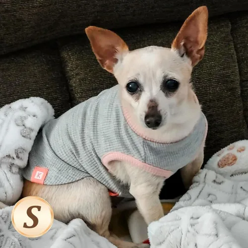 Vista 8 de KYEESE Paquete de 2 camisas para perro con punto gofre, camisetas ligeras sin mangas para perros pequeños, niños y niñas, chaleco transpirable