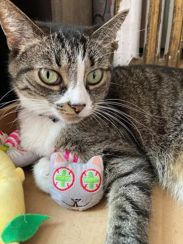 Vista 8 de Smokey's Stash Juguetes rellenos de hierba gatera con ratón de sisal y bola