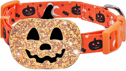 Vista 15 de Blueberry Pet Collar de perro ajustable de maíz dulce de Halloween con accesorio desmontable con purpurina, pequeño, cuello de 12 a 16 pulgadas