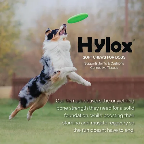 Vista 10 de Hylox - Masticables suaves para perros, soporte articular con glucosamina, MSM, creatina, ácido hialurónico, cúrcuma, EPA y DHA, soporta