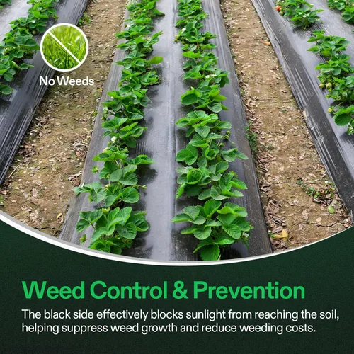 Vista 4 de VIVOSUN rollo de película blanco y negro