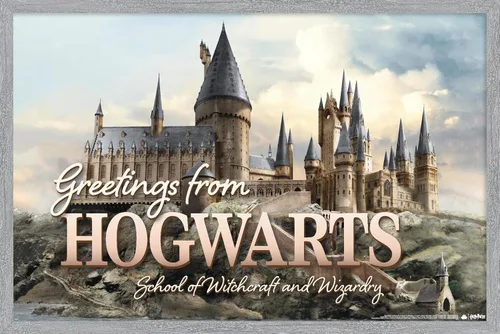 Vista 16 de Trends International The Wizarding World: Harry Potter - Póster de pared con texto en inglés «Greetings From Hogwarts», 22.4 pulgadas de largo x