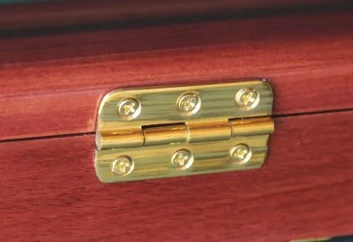 Vista 3 de Estante de pared para guardabarros de guitarra con protección UV, con cerradura, nogal