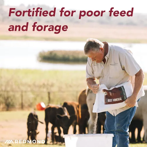 REDMOND Mineral de carne de res (25 LB)
