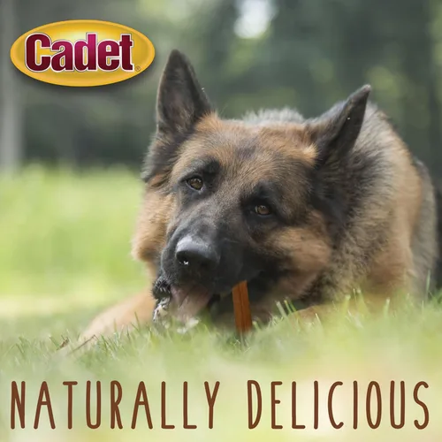 Vista 9 de Cadet Bully Sticks para perros grandes, pizza de carne de res totalmente natural, masticables de larga duración sin cuero crudo para masticadores