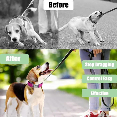 Vista 3 de Collar sin tirones con hebilla de liberación rápida para perros pequeños, medianos y grandes Rosa
