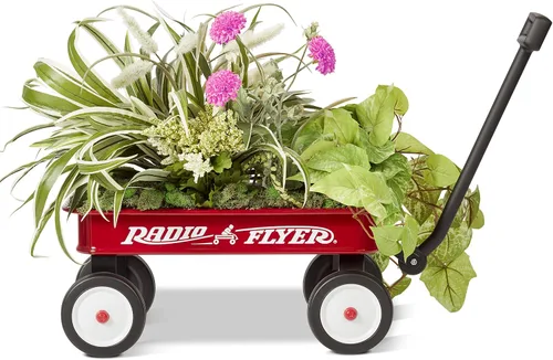Vista 7 de Radio Flyer My 1st Wagon