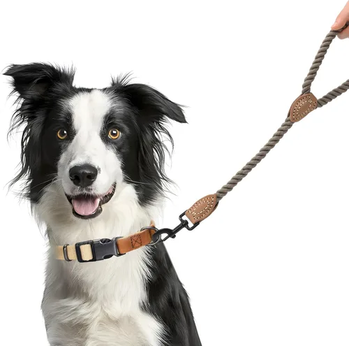 Vista 2 de Mile High Life Correa corta para perro, correas de cuerda de algodón trenzada con punta de cuero, cierre de metal resistente, 18 pulgadas, 1/2