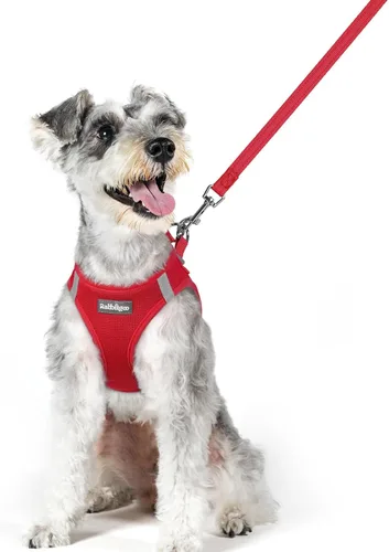 Vista 72 de rabbitgoo Juego de arnés para perro, tamaño pequeño y correa, chaleco ligero suave para cachorro, arnés de malla transpirable para mascotas, Negro