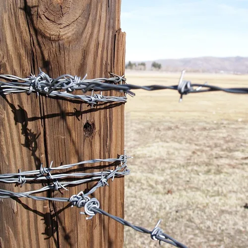 Vista 6 de AccEncyc Grapas de alambre para valla de acero, clavos en forma de U, grapas de 1 pulgada en U para cercado, malla de alambre (270 piezas)
