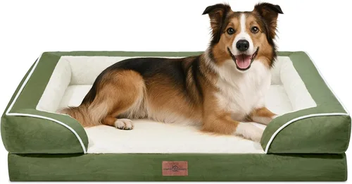 Vista 55 de Comfort Expression - Cama ortopédica para perros pequeños, 20 x 14 pulgadas, cama impermeable y de apoyo de espuma con cojines removibles, sofá