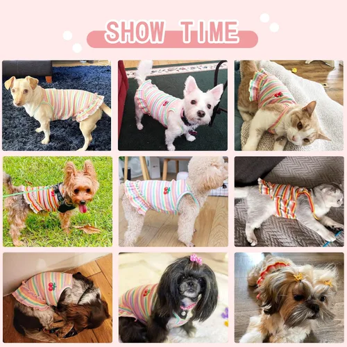 Vista 3 de Lindo vestido de perro para perros pequeños y niña, ropa de cumpleaños, ropa de primavera y verano, trajes de perro, arco iris, colorido, a rayas