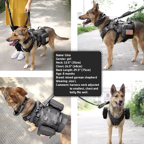 Vista 9 de Forestpaw Arnés táctico para perros grandes, collar táctico para perro con correa elástica, arnés militar para perro sin tirones para entrenamiento