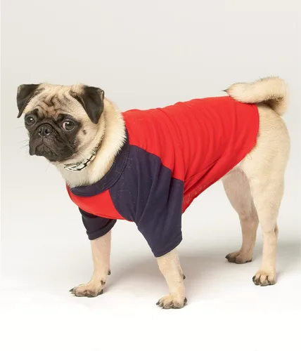 Vista 6 de Simplicity SS9532A - Kit de patrón de costura para ropa deportiva para mascotas, código S9532, XS-S-M-L-XL