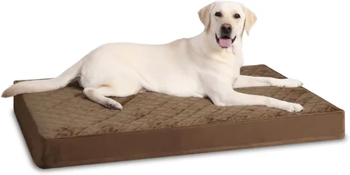 Vista 15 de NUPIDA Camas ortopédicas para perros pequeños, impermeables, con funda extraíble lavable y parte inferior antideslizante, cama acolchada para perros