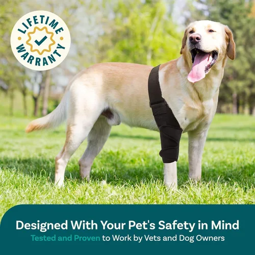 Vista 7 de Rodillera para perro para desgarrarse Acl patas traseras de perro para patas traseras tamaño mediano para perro Acl soporte para pierna trasera