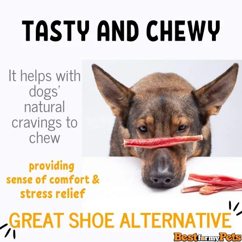 Vista 5 de Best For My Pets Palitos de tripa para perros (5 pulgadas, 6 onzas) ideales para cachorros, perros mayores y pequeños totalmente naturales sin piel