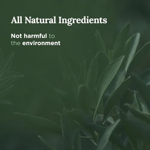 Vista 3 de Magnificent 101 Vela Smudge de Salvia Pura de Larga Duración - 6 Oz - 35 Horas de Tiempo de Combustión - Vela de Cera de Soja para Limpieza