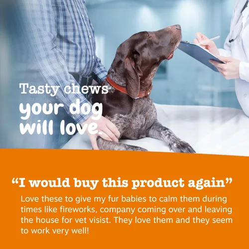 Vista 4 de Zesty Paws - Masticables calmantes de cáñamo para perros, suplementos calmantes de cáñamo para perros con melatonina para el estrés, viajes