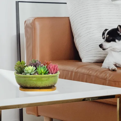 Vista 5 de Macetas para suculentas, macetas rectangulares de 7.9 pulgadas de largo con bandeja de drenaje, macetas poco profundas para plantas