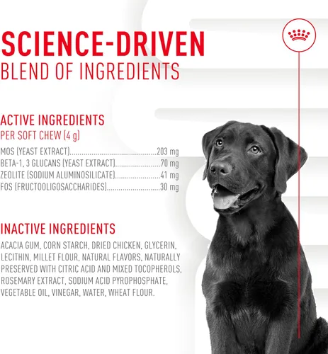 Vista 5 de Royal Canin - Suplemento digestivo para perros adultos, masticables suaves, 60