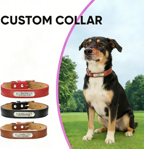 Vista 2 de Collar de cuero personalizado para perro, collar de cuero profundamente grabado para perros y gatos pequeños, medianos, grandes, XL, collar