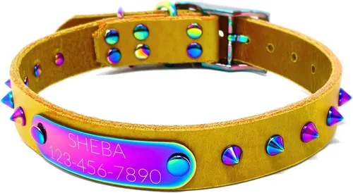Vista 17 de Collar de perro de cuero con brida hecha a mano, grabado arco iris de acero inoxidable (negro)