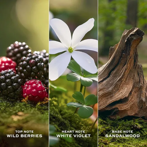 Vista 4 de Marc Jacobs Daisy Eau de Toilette - Perfume floral radiante para mujer - con notas de bayas silvestres