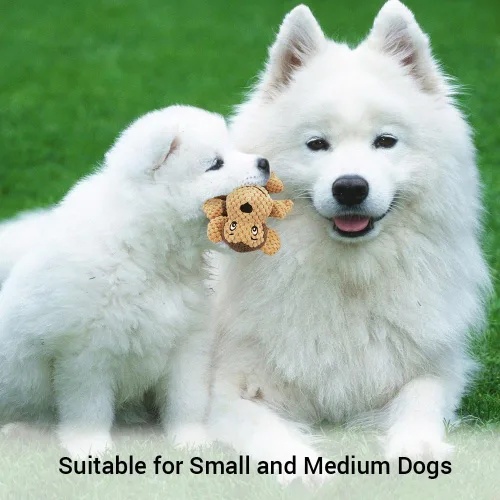 Vista 4 de Raffaelo Juguetes para perros, juguetes para cachorros, juguetes masticables de limpieza de dentición, juguetes interactivos de felpa