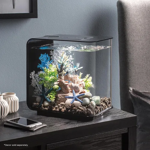 Vista 2 de biOrb Flow 15 - Acuario acrílico de 4 galones con luces LED blancas, moderno y compacto para exhibición en mesa o escritorio, negro
