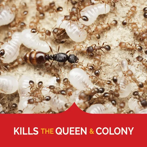 Vista 3 de Hot Shot MaxAttrax - Cebo para hormigas, estaciones de cebo de 0.07 onzas, 4 unidades, paquete de 12