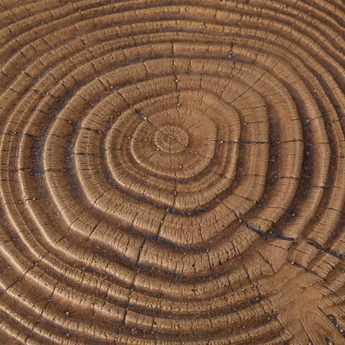Vista 4 de Mesa auxiliar de tocón de árbol SUNBURY, mesa auxiliar de jardín y taburete de hormigón, soporte para plantas de tocón de árbol marrón para jardín