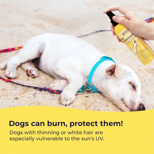Vista 3 de Gentle Creatures Protector solar para perros SPF 30, sin óxido de zinc SPF 30 equivalente; vitamina E + aceite de oliva; para narices, orejas