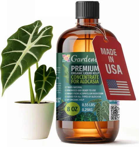 Vista 64 de GARDENERA Superalimento orgánico prémium de algas marinas y algas marinas para plantas AGLAONEMA, 8 onzas, concentrado de fertilizante líquido