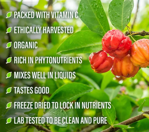 Vista 5 de Perfect Supplements – Perfect Acerola Powder – 156 Grams – 100% Pure Acerola Cherry – All-Natural Vitamin C Superfood – Immune System Support