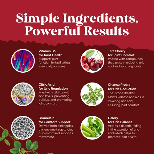 Vista 6 de Extracto de grano de café verde para limpieza de ácido úrico y desintoxicación - Granos de café verde con cúrcuma, cereza ácida y semilla de apio