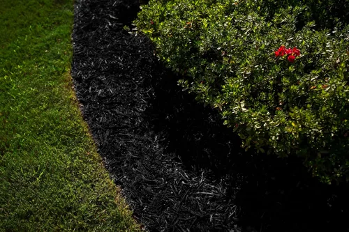 Tinte negro, cobertura de 3,200 pies cuadrados, colorante para paisajismo y camas de jardín, restaurador de color de mantillo de madera y corteza de