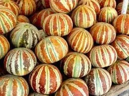 Vista 2 de Nuevas semillas frescas de fruta de melón kajari 100pcs Generic