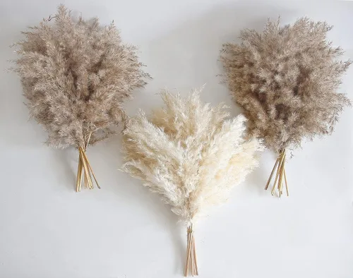 30 piezas de decoración bohemia, hierba esponjosa de pompas, hierba de pampa seca natural pequeña, pampass corto a granel para habitación bohemia,