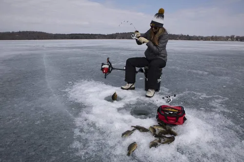 Vista 8 de Berkley Línea de pesca en hielo 100% fluorocarbono Trilene