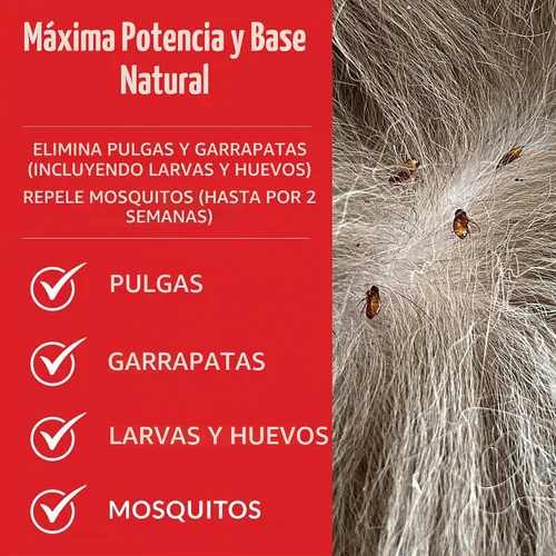 Vista 5 de SKOUT'S HONOR Champú natural para pulgas y garrapatas para perros, 16 onzas Champú para pulgas y garrapatas