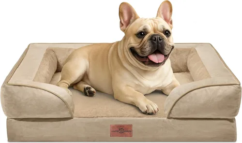Vista 34 de Comfort Expression - Cama ortopédica para perros pequeños, 20 x 14 pulgadas, cama impermeable y de apoyo de espuma con cojines removibles, sofá