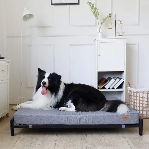 Vista 3 de KOPEKS Cama elevada para perros grandes para exteriores, estilo moderno, versión actualizada