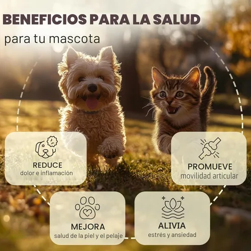 Vista 2 de Billion Pets - Aceite de cáñamo para perros y gatos - Ayuda con la ansiedad, dolor, estrés, sueño, artritis, alivio de convulsiones - Soporte