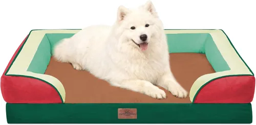 Vista 109 de Comfort Expression - Cama ortopédica para perros pequeños, 20 x 14 pulgadas, cama impermeable y de apoyo de espuma con cojines removibles, sofá