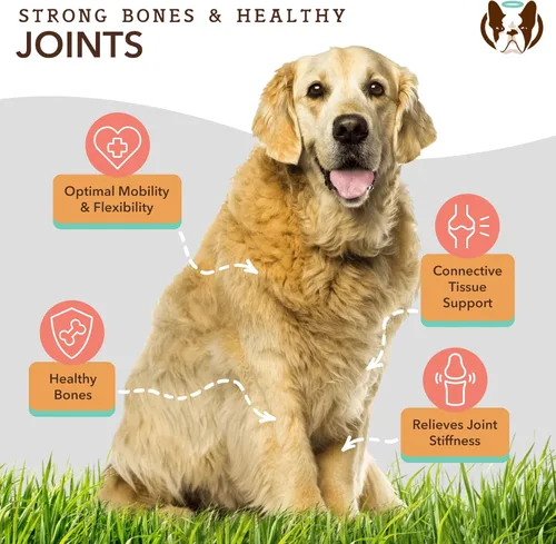 Vista 5 de Natural Dog Company Suplementos para perros para personas mayores y perros activos, masticables multivitamínicos y alivio de cadera